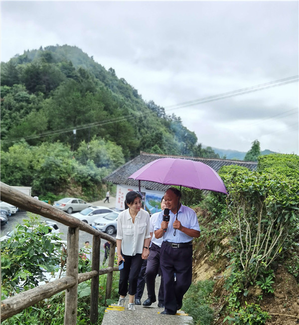 1597626409507914.jpg 選5.jpg